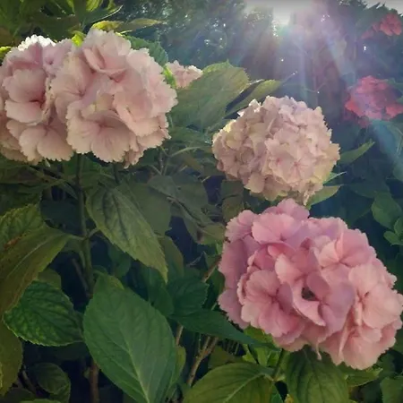 Ondarreta & Terrace شقة *