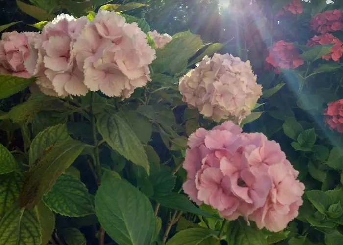 Ondarreta & Terrace Apartamento *