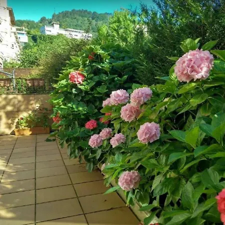 Ondarreta & Terrace San Sebastian